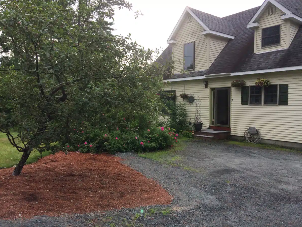 HALO Educational Systems - Preview