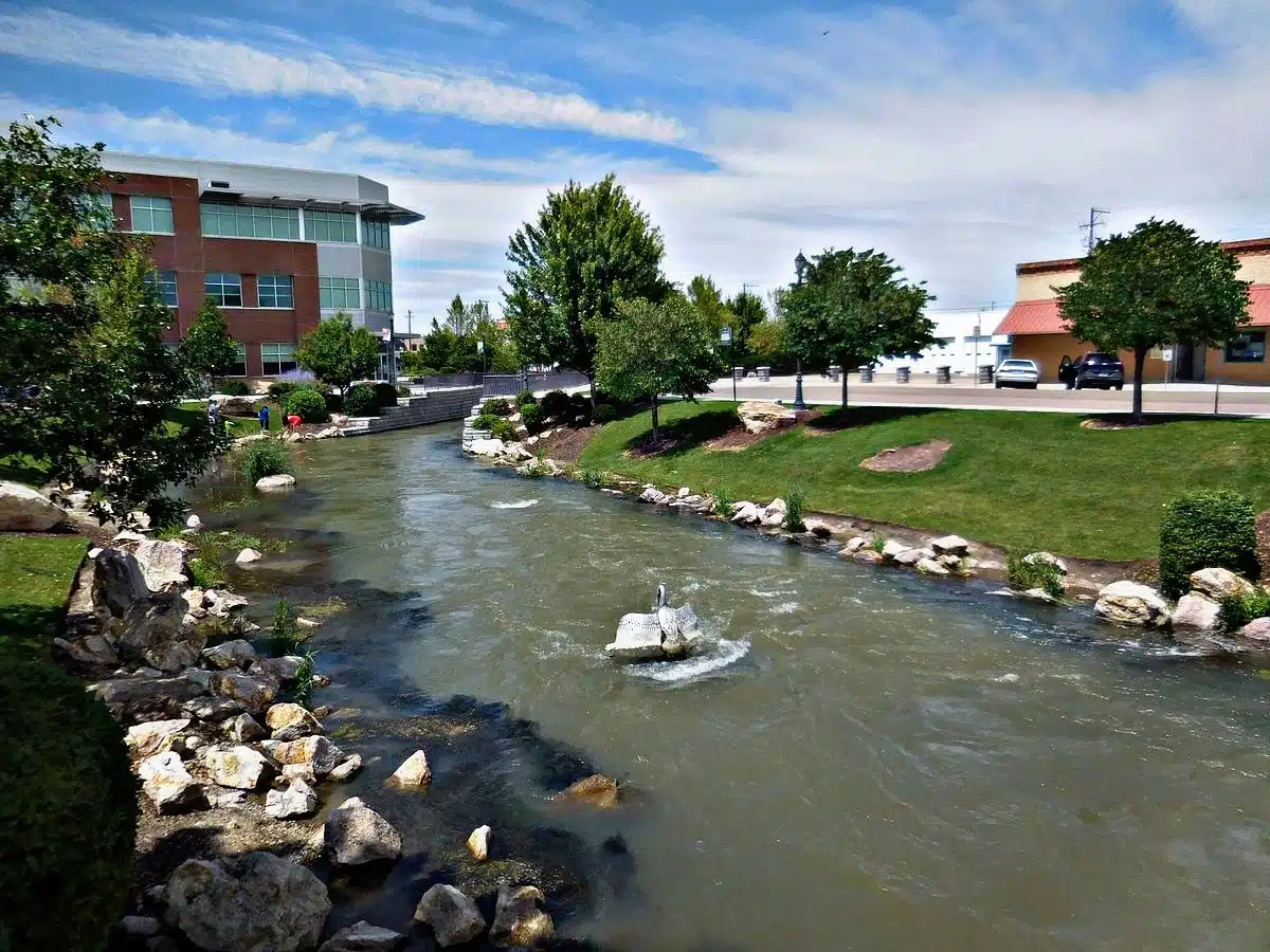 Peak Recovery - Preview